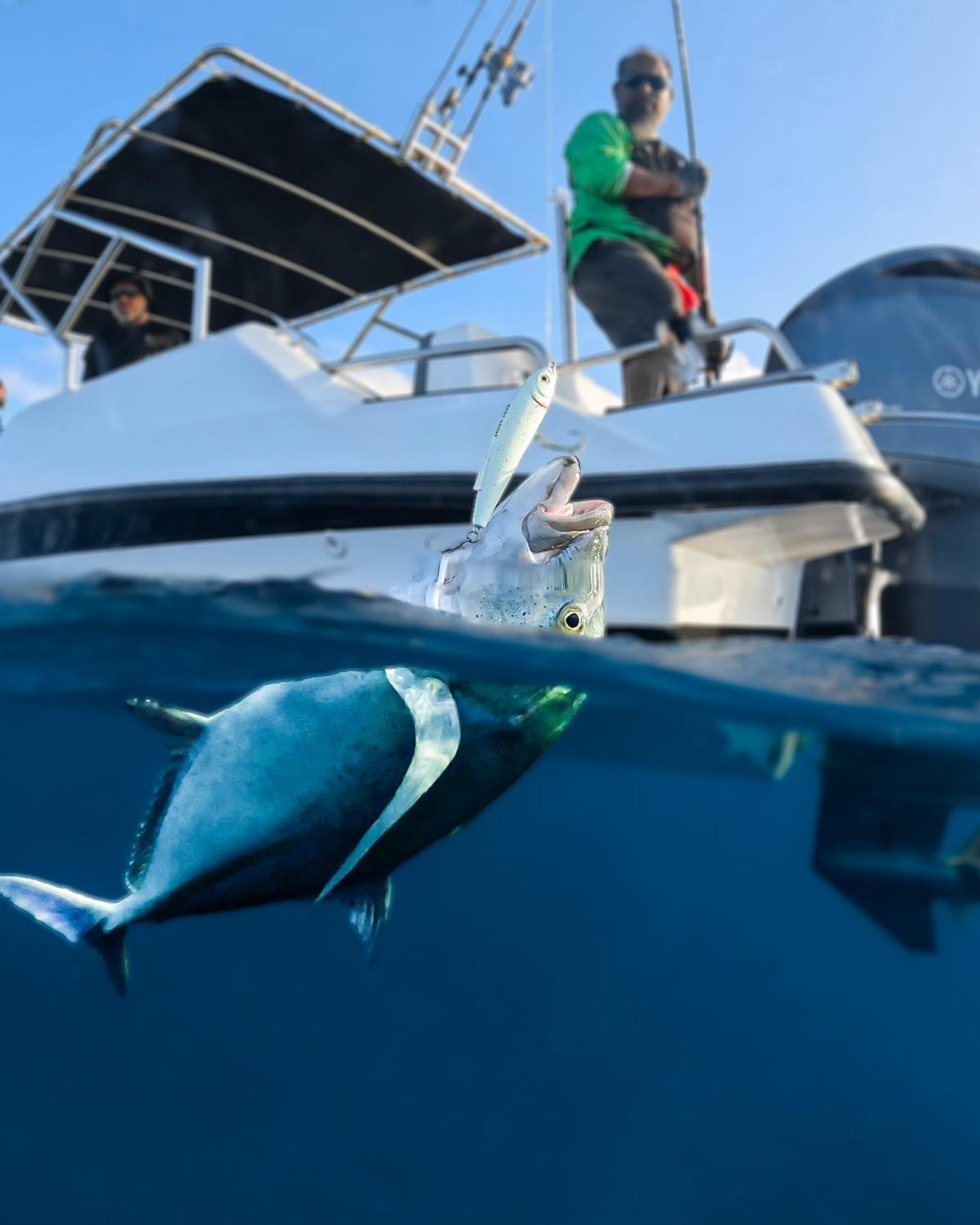 Nihaali Maldives Hotel Kudarikilu Ngoại thất bức ảnh